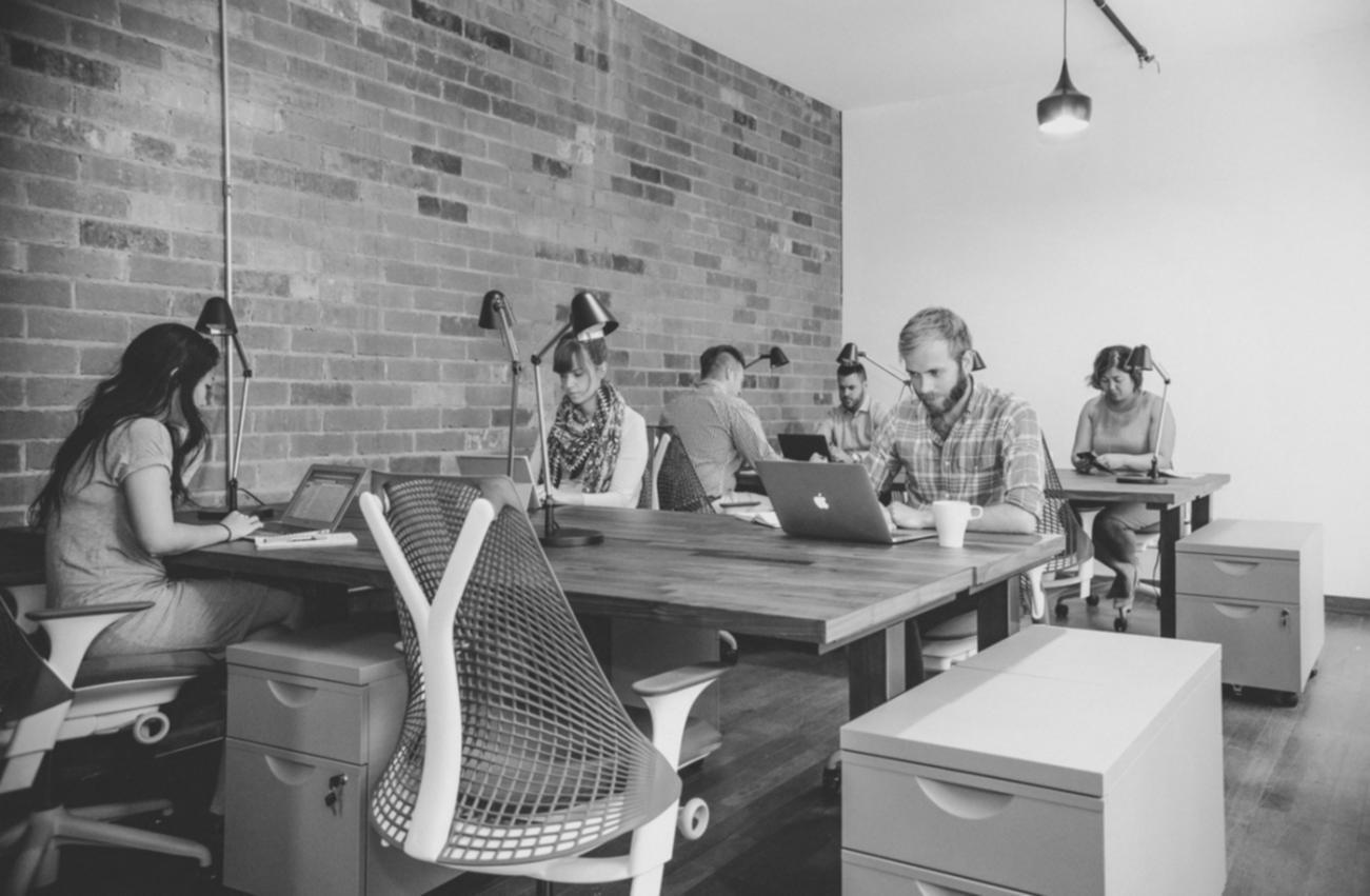 wernavo founder reviewing course content